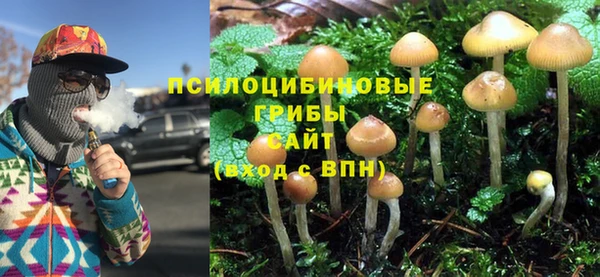 дживик Алексеевка