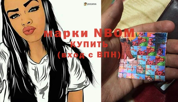 шишки Алзамай