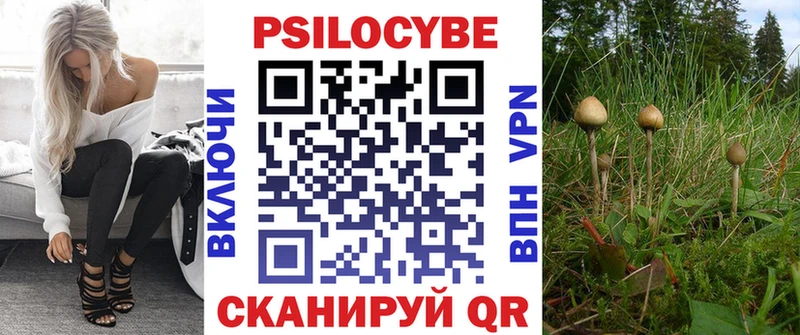 ОМГ ОМГ как войти  где купить наркоту  Катайск  Псилоцибиновые грибы прущие грибы 